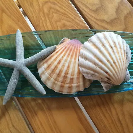 Betta's Nyaraló